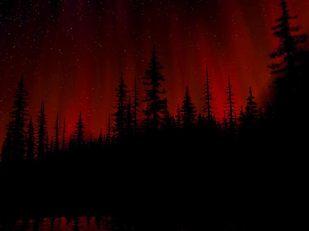 Dark Forest Laptop Background 1600x1200px