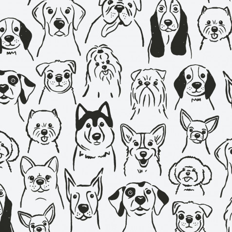 Dog Phone Background Image 1400x1400px