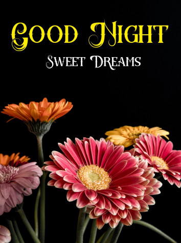 Good Night Images Wallpaper for iPhone 1906x2560px