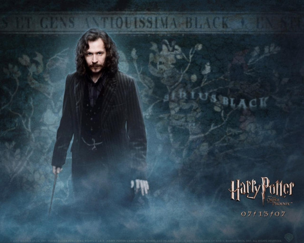 Sirius Black Desktop HD Wallpaper 1280x1024px