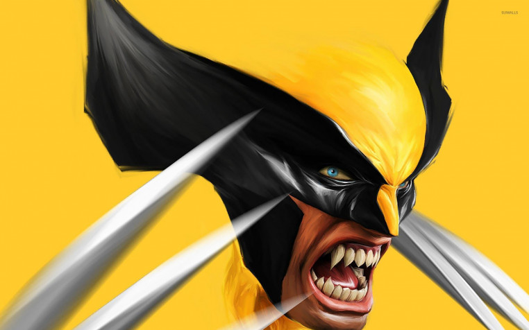 Wolverine Widescreen HD Wallpaper 1920x1200px