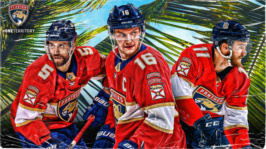 Florida Panthers Full HD 1080p Wallpaper 1920x1080px