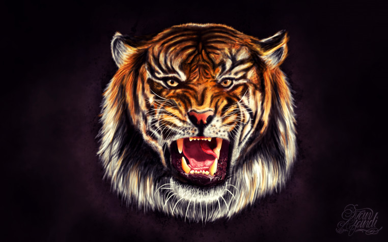 Tiger Widescreen HD Wallpaper 1920x1200px