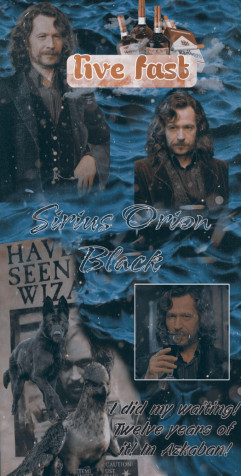 Sirius Black Wallpaper for iPhone 1080x2130px