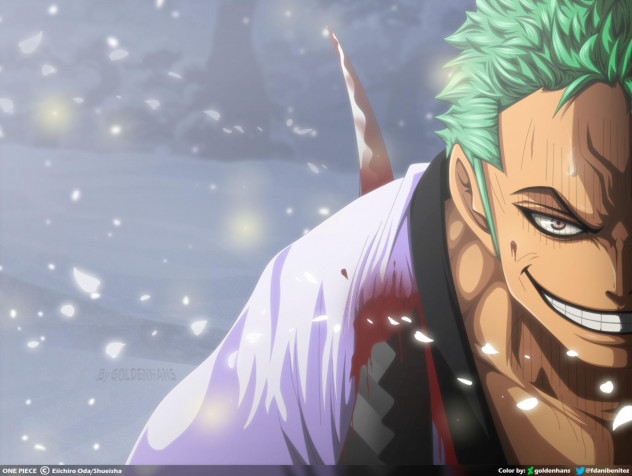 Roronoa Zoro Hd Wallpaper Image 1920x1445px