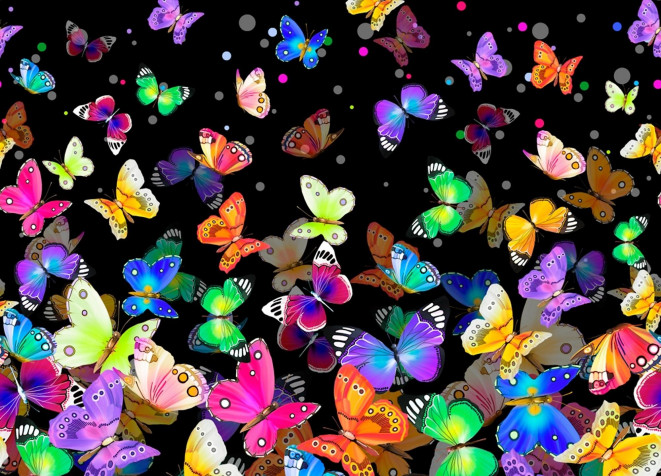 Butterfly Desktop Background 2000x1440px