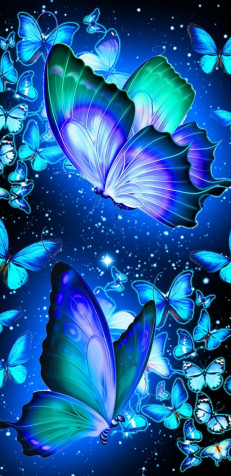 Butterfly iPhone Wallpaper 1080x2220px