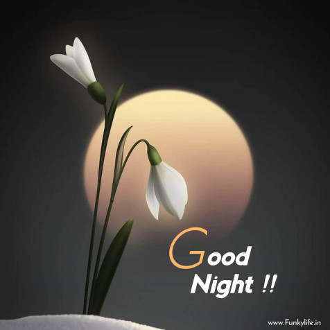 Good Night Images MacBook Wallpaper 1920x1917px