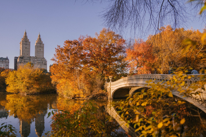 Central Park MacBook Wallpaper 5774x3849px