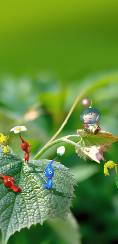 Pikmin Wallpaper for Mobile 1440x2960px