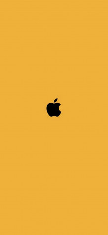 Apple Logo iPhone 11 Pro Wallpaper 1125x2436px