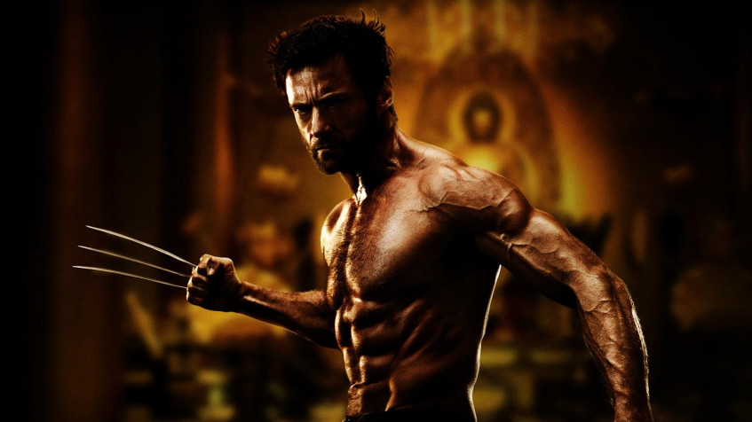 Wolverine Hd Desktop HD Background 1600x900px