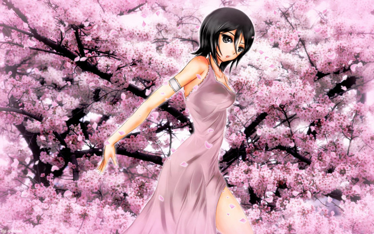 Rukia Kuchiki Widescreen HD Wallpaper 1920x1200px