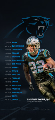 Carolina Panthers iPhone 11 Pro Max Wallpaper 1242x2688px