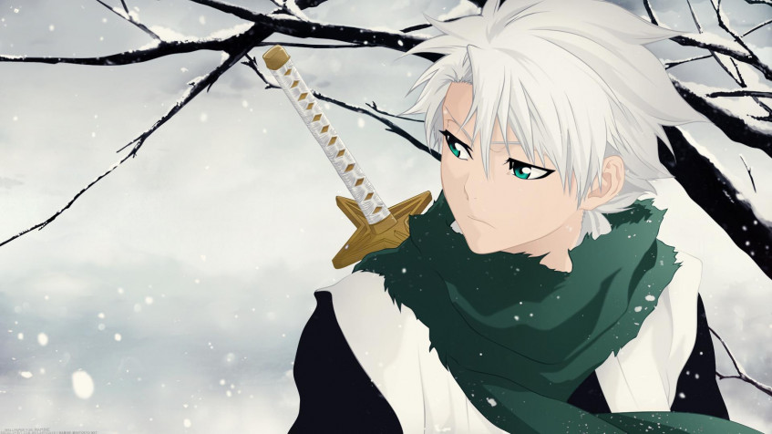 Toshiro Hitsugaya Full HD 1080p Wallpaper 1920x1080px