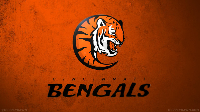 Cincinnati Bengals Logo Full HD 1080p Wallpaper 1920x1080px