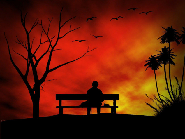 Lonely Wallpaper Image 1600x1200px