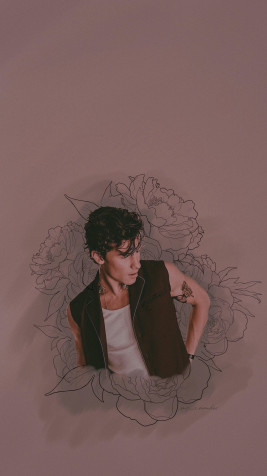 Shawn Mendes iPhone Wallpaper Image 1838x3266px