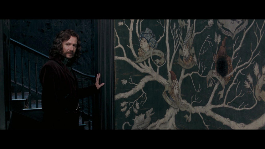 Sirius Black Full HD 1080p Wallpaper 1920x1080px