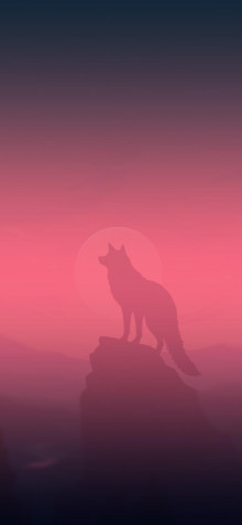 Wolf iPhone Wallpaper 1183x2560px