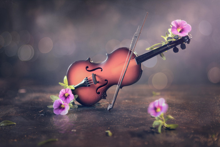 Violin Desktop Wallpaper 6009x4012px