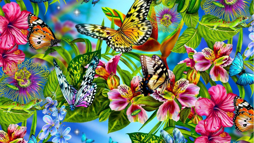 Butterflies Hd Full HD 1080p Wallpaper 1920x1080px