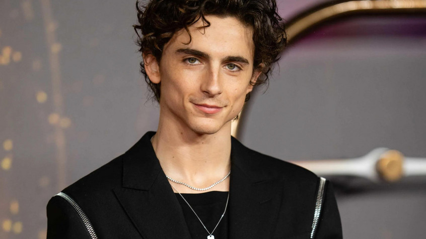 Timothee Chalamet Laptop Wallpaper 2544x1431px