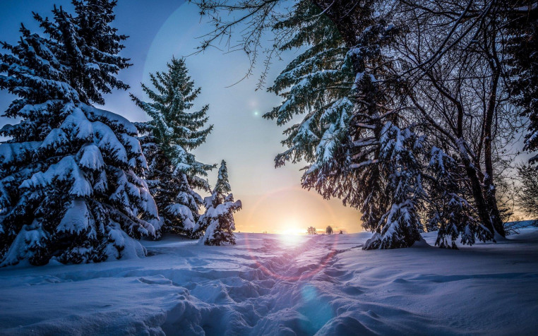 Winter Widescreen HD Wallpaper 1920x1200px