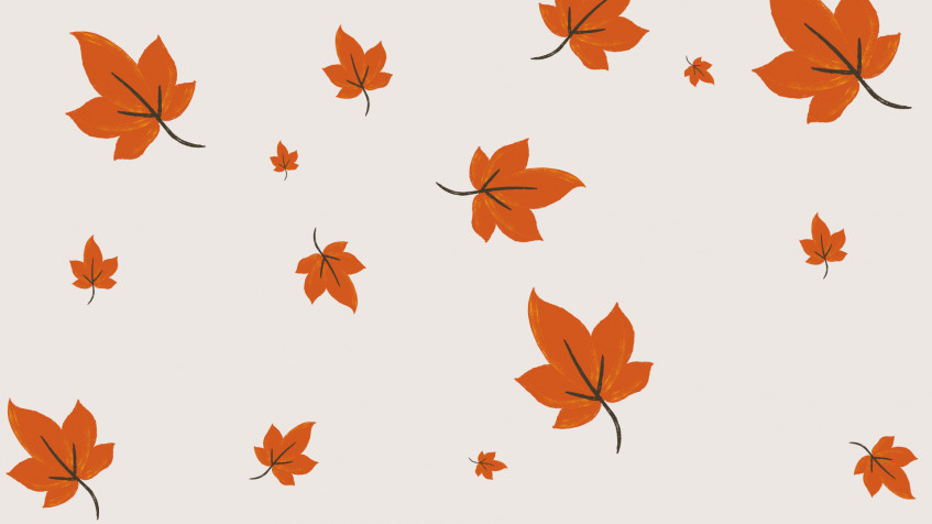 Cute Fall Full HD 1080p Wallpaper 1920x1080px