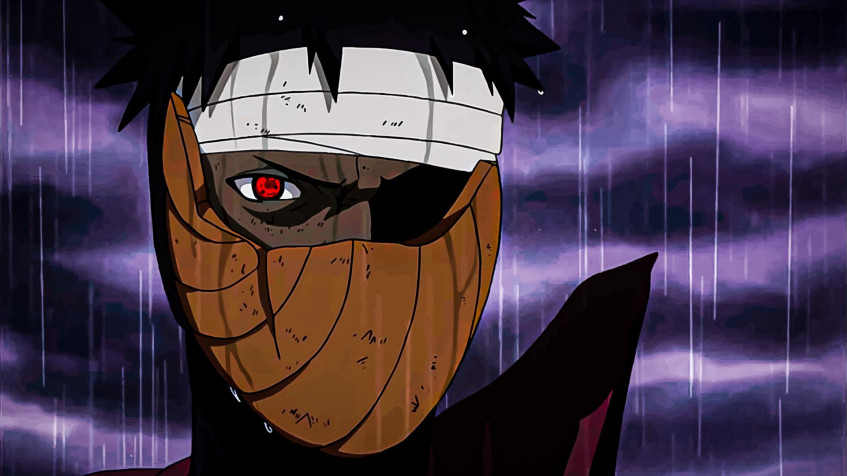 Tobi Full HD 1080p Wallpaper 1920x1080px