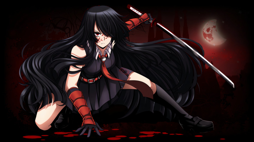 Akame Ga Kill Full HD 1080p Wallpaper 1920x1080px