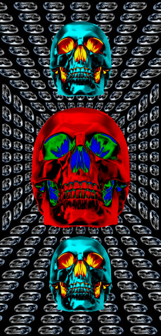 Cool Skull Android Wallpaper 1000x2074px