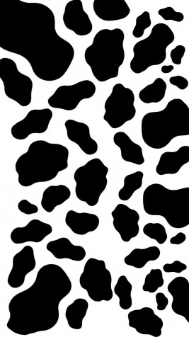 Cow Print Android Wallpaper Image 1949x3463px