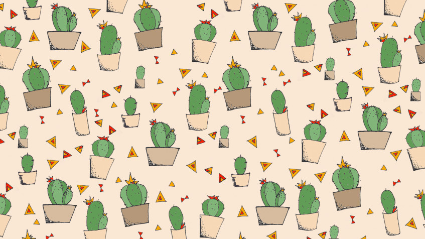 Cactus Desktop Wallpaper 1600x900px