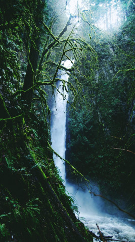 Waterfall iPhone Wallpaper 1080x1920px