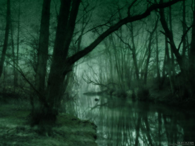 Dark Forest Desktop Wallpaper 1600x1200px