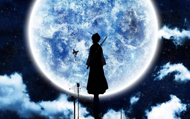 Rukia Kuchiki Widescreen HD Wallpaper 1920x1200px