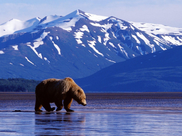 Alaska MacBook Background 1600x1200px