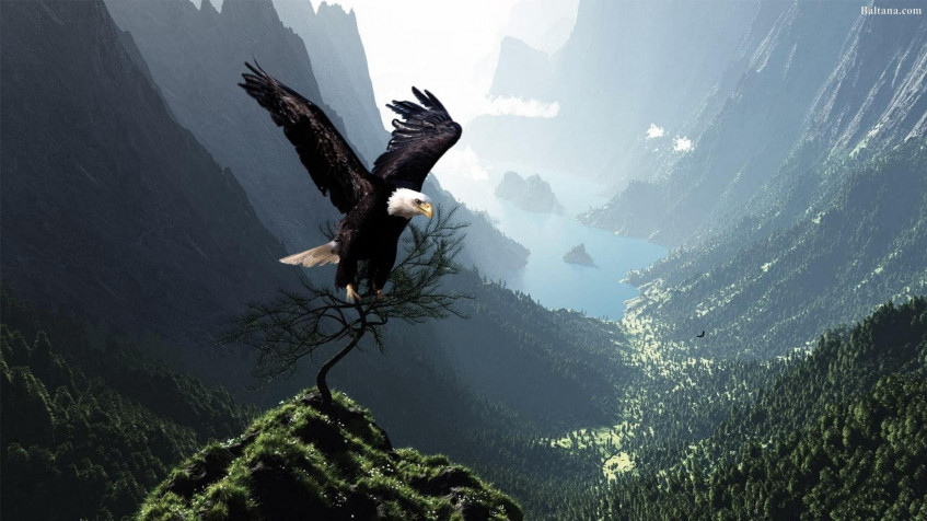  Full HD 1080p Wallpaper 1920x1080px