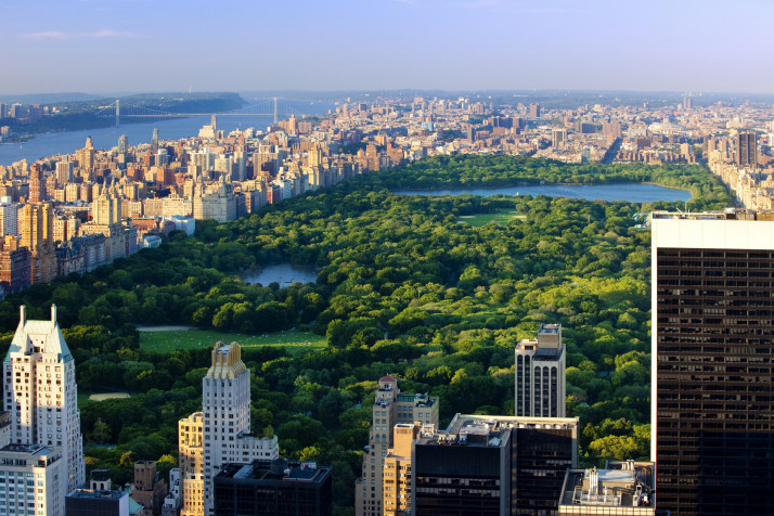 Central Park Desktop HD Background 3200x2134px