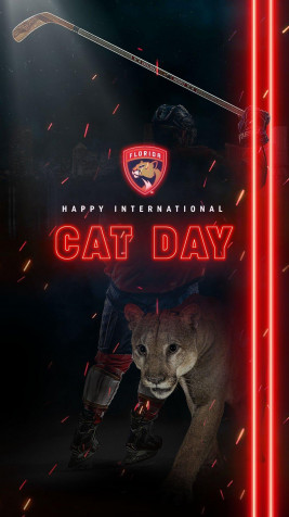 Florida Panthers Phone HD Background 1080x1920px