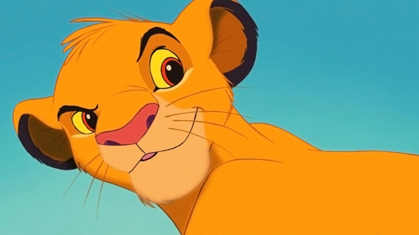 Simba Full HD 1080p Wallpaper 1920x1080px