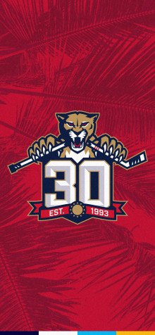 Florida Panthers iPhone 11 Pro Max Wallpaper 1242x2688px