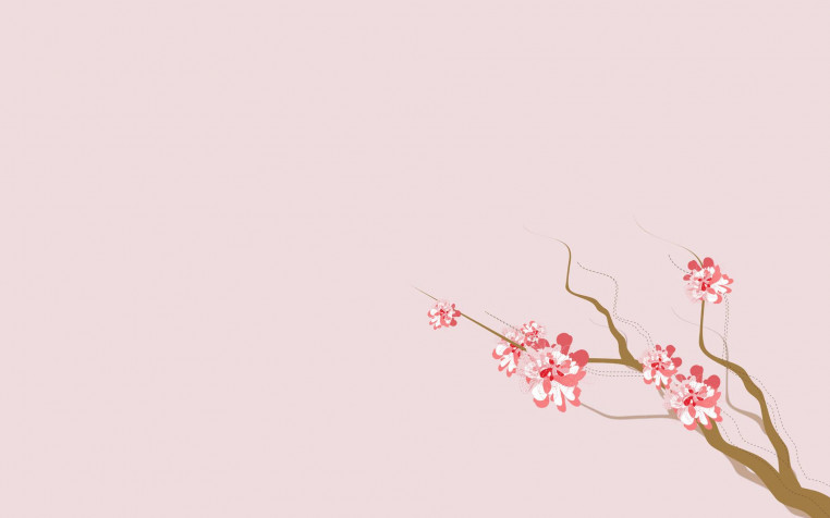 Sakura Flowers Widescreen HD Wallpaper 1920x1200px