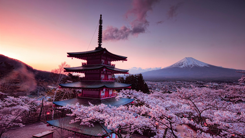 Japan Cherry Blossom Desktop HD Background 7680x4320px