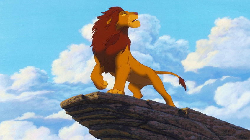 Simba Full HD 1080p Wallpaper 1920x1080px