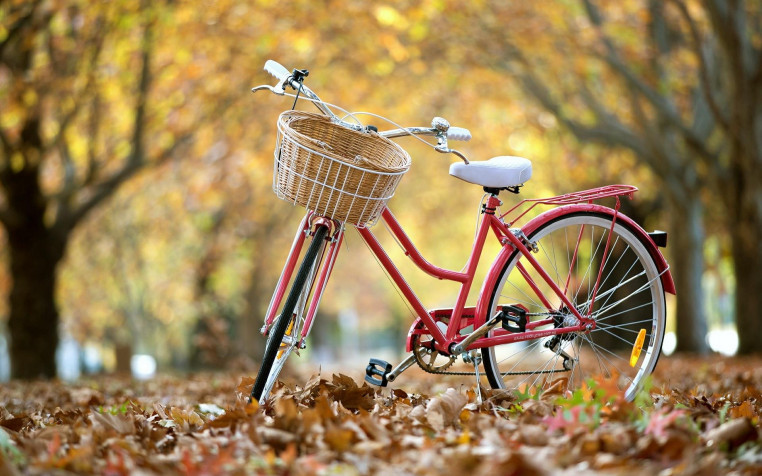 Cycling Widescreen HD Wallpaper 1920x1200px