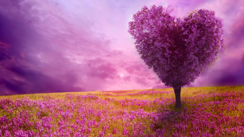 Spring Pc Full HD 1080p Wallpaper 1920x1080px