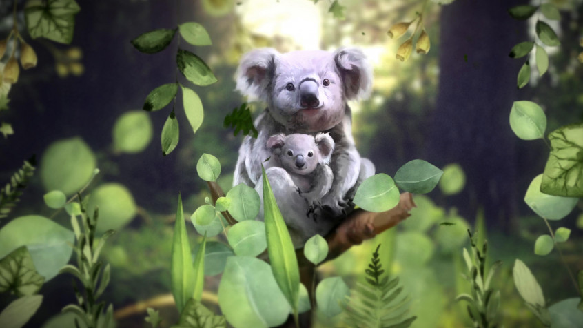 Koala 4k UHD Wallpaper 3840x2160px