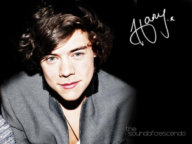 Cute Harry Styles Hd MacBook Background 1024x768px